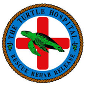 The Turtle Hospital